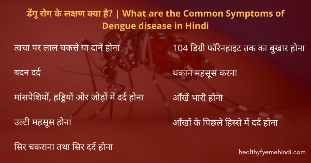 डेंगू रोग के लक्षण क्या है What are the Common Symptoms of Dengue disease in Hindi
